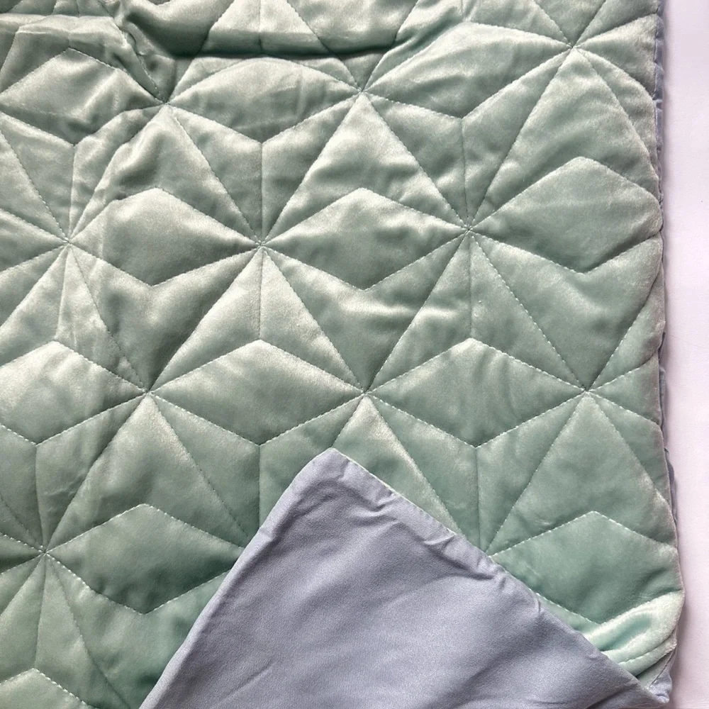 Wild Sage Vanessa Velvet 2-Piece Twin/Twin XL Quilt Set in Ether Blue NWT